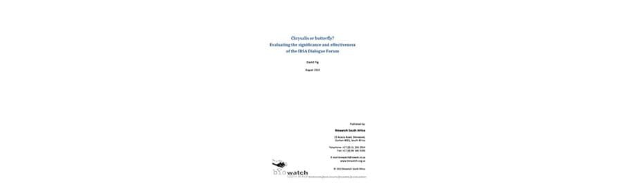 Research Paper: Chrysalis or Butterfly? Evaluating the Significance and Effectiveness of the IBSA Dialogue Forum
