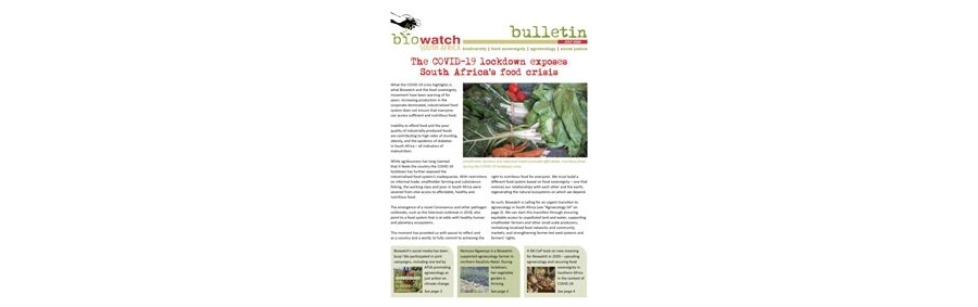 Biowatch Bulletin: July 2020